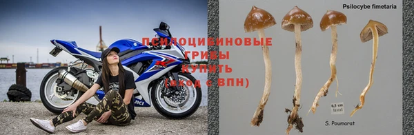 гашишное масло Елизово