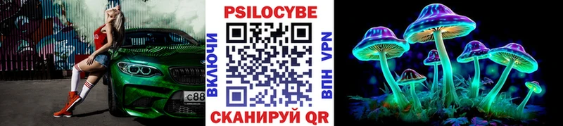 Купить где  Кыштым  Галлюциногенные грибы мицелий 