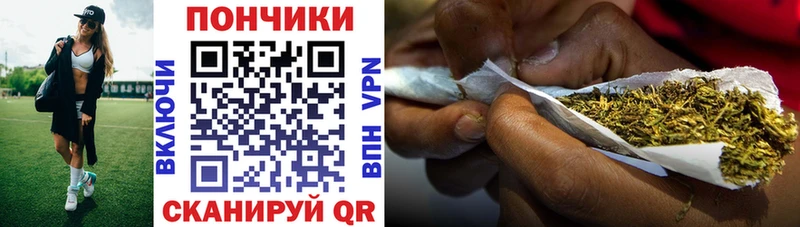 Купить закладки  Кыштым  Марихуана SATIVA & INDICA 